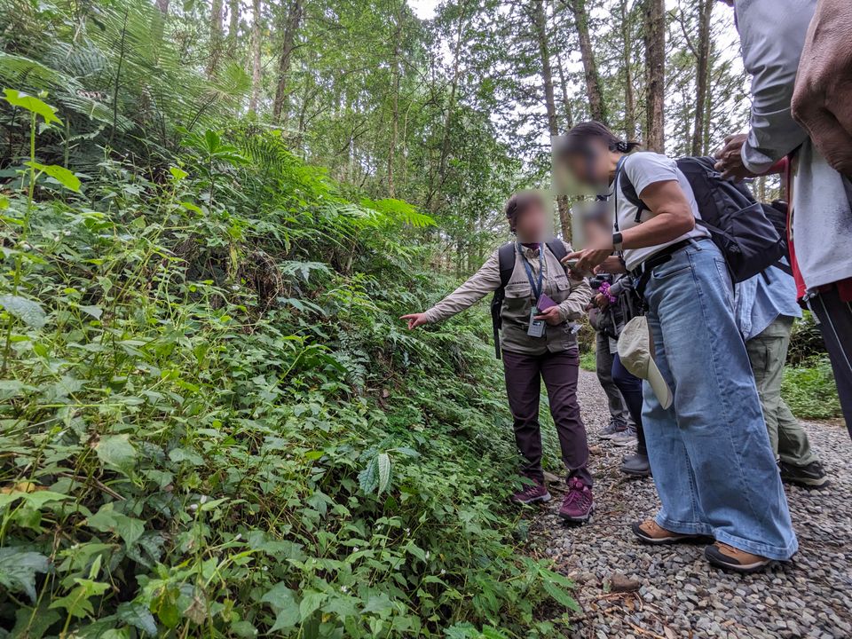 解說員正在跟隊員介紹植物
