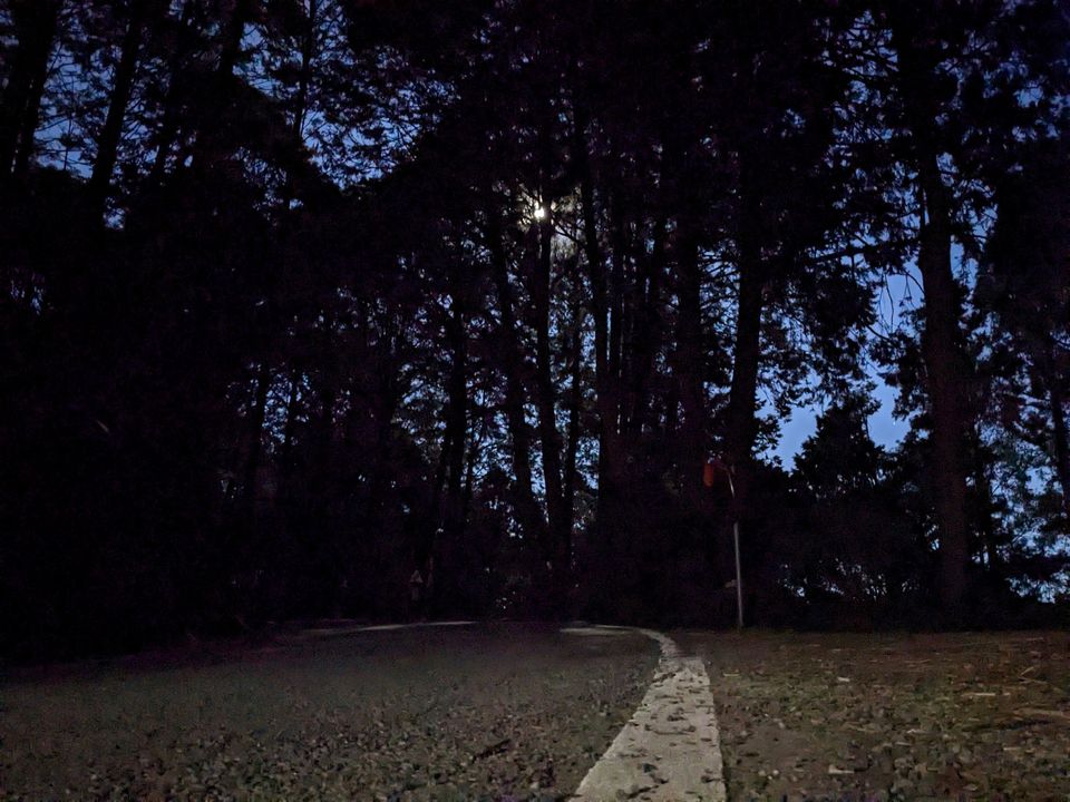 前往小笠原山觀景台的路上，沒有路燈，但月光非常亮