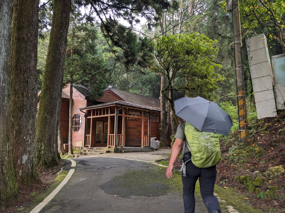 走在阿里山國家森林遊樂區內